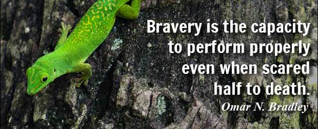 bravery quote